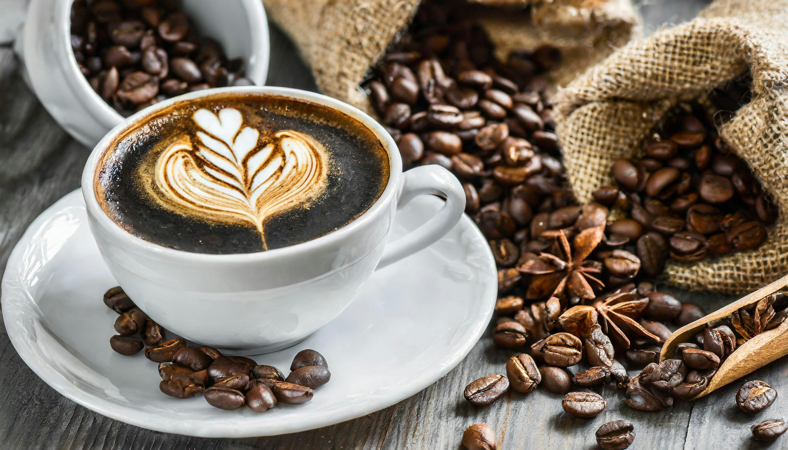 Commercial Coffee Machines & Coffee Equipment For Coffee Roasters